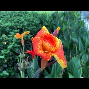 Meet your Posher, Krystyna